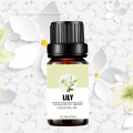 Factory supply high quality lily essential oil bulk